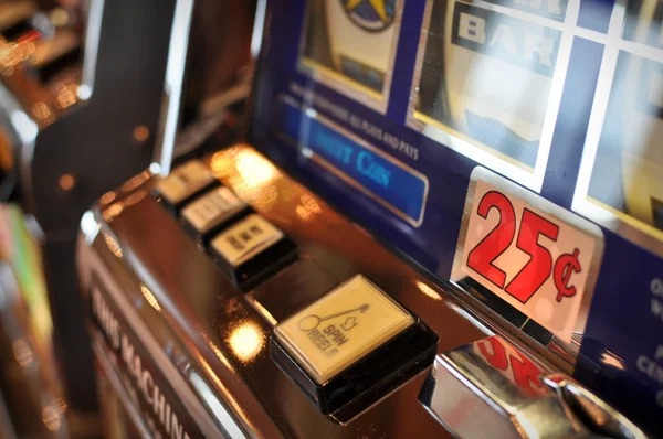 california paito platform interface showing sports betting and live-dealer options